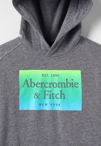 Grijze hoodie met een grote, kleurrijke afbeelding met de tekst "Abercrombie & Fitch" en "EST. 1892" in contrasterende kleuren.