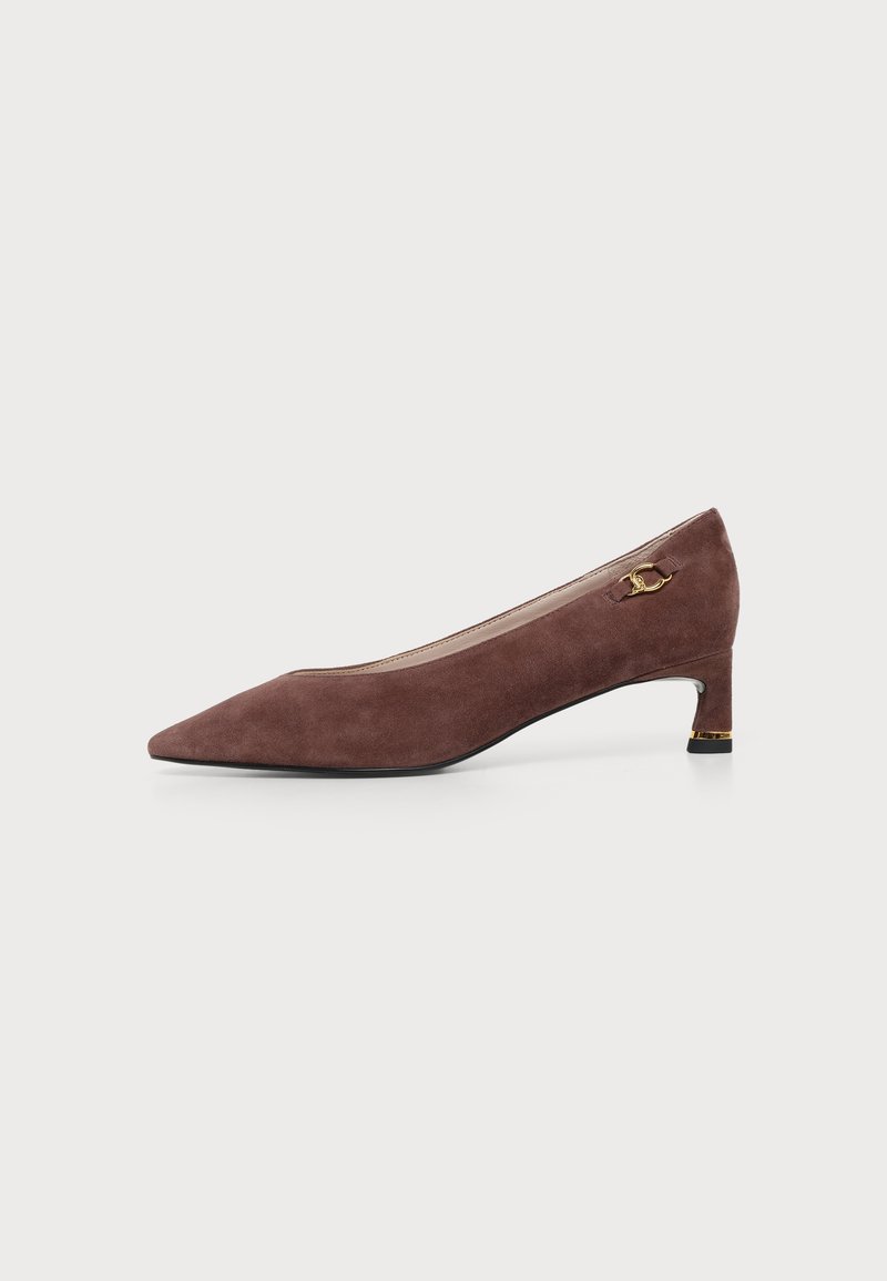 Chaussure femme en suède marron à talon bas, bout pointu, avec boucle décorative dorée sur le côté et petit détail doré au talon.