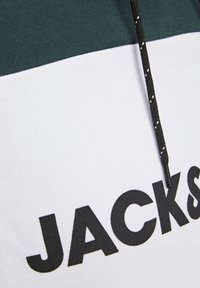 Felpa con cappuccio, con parte superiore di colore verde scuro e parte inferiore bianca. Presenta lettere nere ben visibili e un cordino nero con punti bianchi.