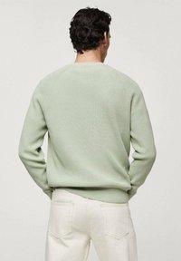 Hellgrüner gestrickter Pullover mit gerippter Struktur, rundem Ausschnitt und langen Ärmeln, kombiniert mit weißen Hosen. Rückansicht.