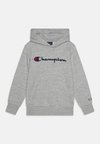 ICONS HOODED - Hoodie - grey