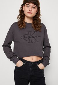 Pelēks, īsi nopietns sporta krekls ar apaļo kakla izgriezumu un garām piedurknēm. Priekšpusē ir "Calvin Klein Jeans" un "CK" logo gaišākā tonī.