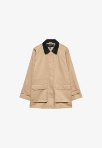 Nevybráno, silver mink