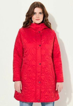 Winter coat - salsa