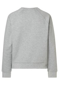 Ein schlichtes, hellgraues Langarm-Sweatshirt, das von hinten gezeigt wird, mit Rundhalsausschnitt und gerippten Bündchen sowie Saum.