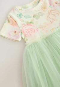Jurk met korte mouwen en een geribd bloemmotief topje in pasteltinten en een lichtgroene doorschijnende tule rok.