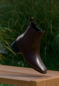 Неизбран, dark brown
