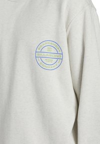 Felpa grigia chiara con un logo tondo blu e verde che riporta il testo "BILLABONG" e "BOARD SHORT COMPANY". Tessuto morbido e con texture.