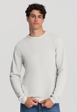 Camicia grigia chiara a maniche lunghe con scollatura rotonda. Indossata con jeans blu, mani nelle tasche, su uno sfondo bianco semplice.