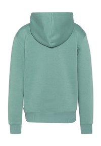 Felpa verde menta con cappuccio regolabile, polsini e orlo a coste. Tessuto di cotone morbido con una texture liscia, senza grafiche o modelli visibili.