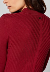 Roter Strickpullover mit einem strukturierten Muster und diagonalen Streifen, die den Rücken hinunterlaufen, sowie einem kleinen Logo-Akzent am Ausschnitt.