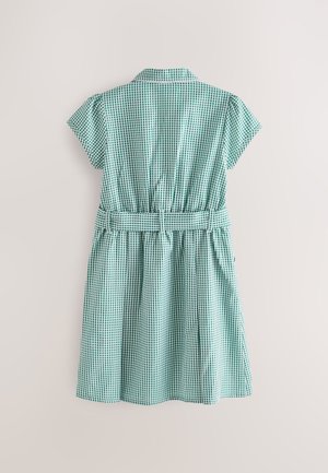 Groen-wit geruite jurk met korte mouwen, kraag, getailleerde taille, geplooide rok en een bijpassende stoffen riem.