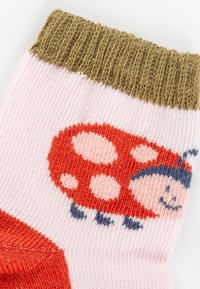 Pink child's sock with a red ladybug pattern, featuring white spots and a smiling face. The ribbed cuff is brown. Material appears knitted.
