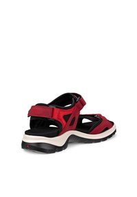 Sandalia al aire libre de dedo abierto en rojo y negro con correas ajustables y suela gruesa blanca y negra, vista angular desde atrás y de lado.