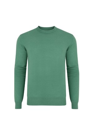 Zielony sweter z okrągłym dekoltem, z ribbowanym wykończeniem rękawów i dolnej krawędzi, uszyty z teksturowanej dzianiny, o klasycznym kroju z długimi rękawami i bez wzorów.