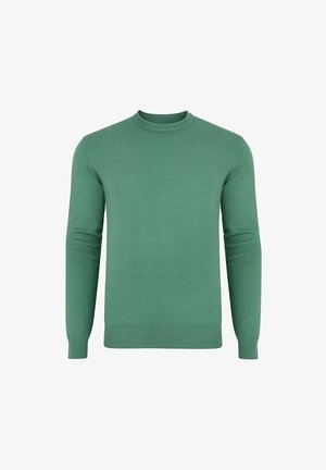 Zielony sweter z okrągłym dekoltem, z ribbowanym wykończeniem rękawów i dolnej krawędzi, uszyty z teksturowanej dzianiny, o klasycznym kroju z długimi rękawami i bez wzorów.