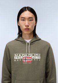 Sudadera verde oliva con un logo blanco, cordones y un gráfico de la bandera de Noruega. Presenta un bolsillo frontal y un acabado texturizado.