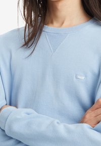 Ljusblå sweatshirt med ribbad rund halsringning och muddar, försedd med en liten vit logopatch på vänster bröst. Mjuk bomullsdesign.