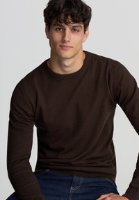 Maglione marrone lavorato a maglia con colletto rotondo, maniche lunghe e polsini a coste. Il tessuto sembra morbido; indossato con jeans in denim blu. Design semplice, senza motivi.