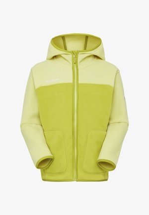 Veste polaire vert clair avec capuche, fermeture éclair avant, deux poches avant, et manches ainsi que panneau supérieur de la poitrine en vert plus clair contrastant.