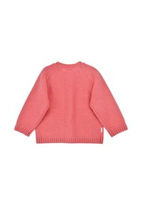 Maglione rosa lavorato a maglia, con scollo tondo, maniche lunghe e orlo a coste. La parte posteriore presenta un motivo a maglia semplice e testurizzato.