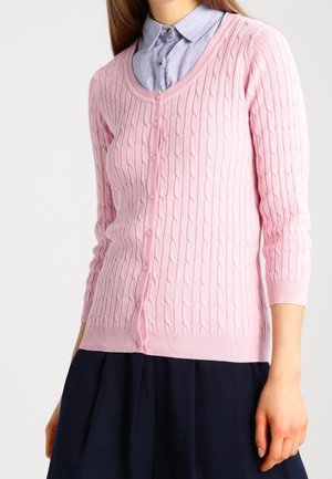 Frau trägt eine hellrosa Strickjacke mit Knöpfen über einem hellblauen Hemd mit Kragen und einem dunklen Rock, steht vor einem weißen Hintergrund.