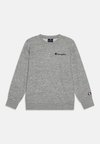 ICONS CREWNECK SMALL LOGO - Sweatshirt - grey