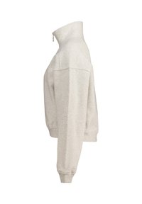 Light gray sweatshirt with a high collar, zip closure, and ribbed cuffs. Made of soft fabric with a relaxed fit and minimal stitching details.