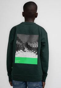 Petrol Industries STEVENSVILLAGE - Sweater - bottle