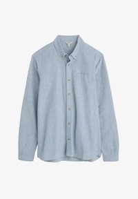 Wybrany, blue hydrangea