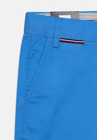 Tommy Hilfiger Shorts - blue spell