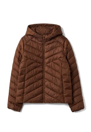 OVS, PADDED JACKET REGULAR FIT HOOD - Winterjas - tobacco brown