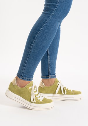 ara CANBERRA - Trainers - green