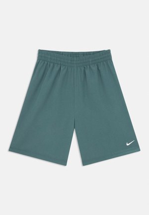 Sportshorts in Türkis mit elastischem Bund und kleinem weißem Nike-Logo am unteren rechten Bein.