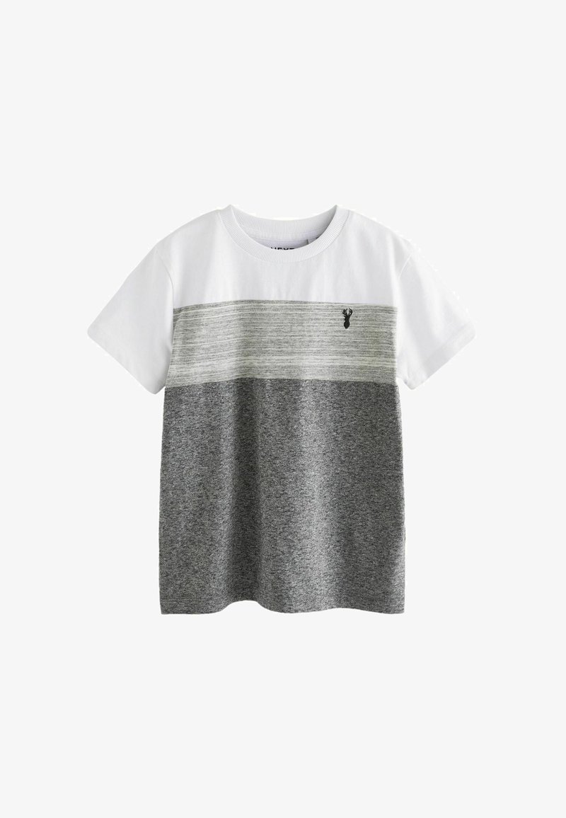 Next BLOCK SHORT SLEEVE - T-Shirt print - mottled grey