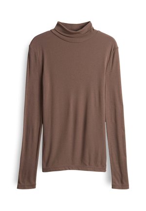 Bruine lange mouw turtleneck top, gemaakt van zachte stof, met een losse pasvorm, een hoge kraag en een rechte zoom. Geen zichtbare patronen of accenten.
