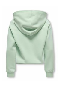 Lichtgroene cropped hoodie met een grote capuchon, geribbelde manchetten en een gladde textuur. De achterkant is zonder afbeeldingen of versieringen.