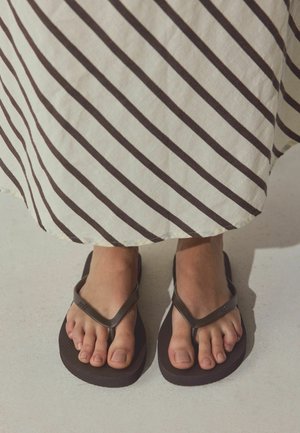 REGULAR FIT - FLIP FLOPS  - Bade-Zehentrenner - chocolate brown