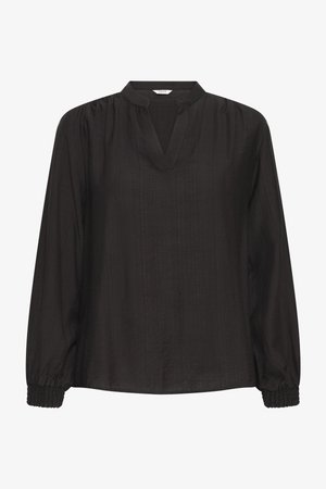 Palaidinė - meteorite