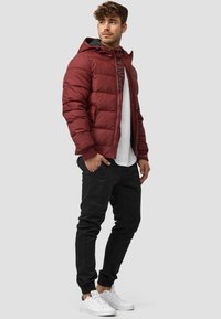 INDICODE JEANS ADRIAN - Vinterjakker - bordeaux