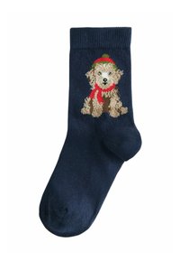 Unausgewählt, navy blue red argyle dog