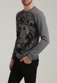 Sweat-shirt gris avec un imprimé graphique de lion, col rond et manches longues. Confectionné en tissu doux avec une texture lisse.
