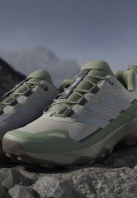 Paire de chaussures de randonnée Adidas Terrex vertes et grises reposant sur un terrain rocheux avec un arrière-plan montagneux flou sous un ciel dégagé.