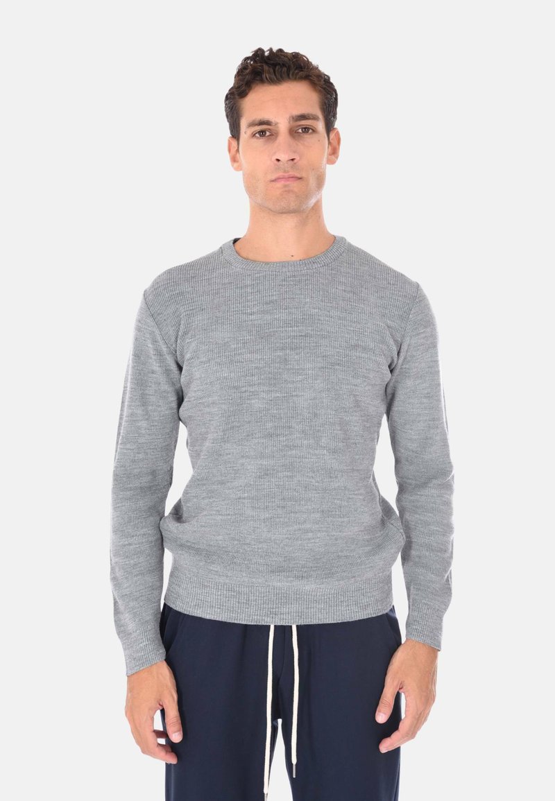 Maglioncino grigio chiaro a coste con scollatura rotonda e maniche lunghe, caratterizzato da un orlo aderente e una superficie liscia. Indossato con pantaloni scuri.