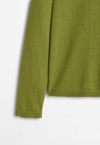 Pull à manches longues en maille vert olive avec poignets et ourlet côtelés, présenté sur un fond blanc uni.