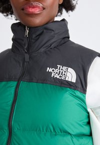 The North Face RETRO NUPTSE VEST - Liemenė - evergreen