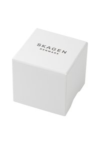 Skagen Watch - brown