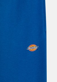 Zila krekla ar kapuci, izgatavota no kokvilnas, ar mazu apļa Dickies logo sarkanos, dzeltenos un melnos toņos kreisajā pusē. Viegla, viendabīga tekstūra.