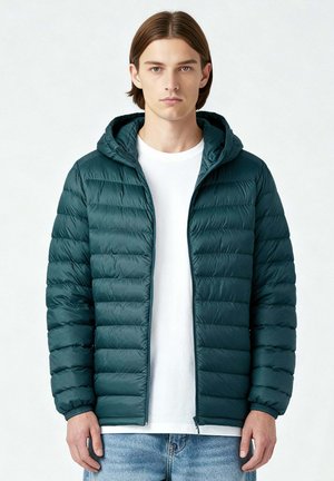 BASIC PADDED - Winterjas - dark green