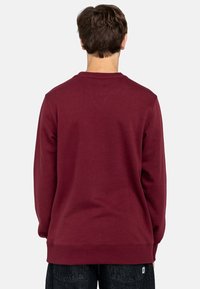 Felpa borgogna con colletto rotondo, polsini e orlo a costine, caratterizzata da una texture liscia e una vestibilità comoda, vista da dietro.